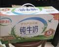 伊利全脂纯牛奶 250ml*18盒 每100ml含3.3g蛋白质 礼盒装 实拍图