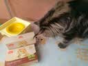 味当家猫零食云杉排毛冻干22包化毛猫草冻干猫咪零食以排代吐专利认证 实拍图