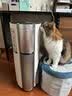悦呼吸yuefresh宠物猫用空气净化器益生菌除过敏原养猫狗兔子吸附浮毛除臭除异味尘螨甲醛杀菌家用净化机 米白色（配养猫过敏专用菌盒） 实拍图
