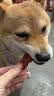 HELLOJOY狗狗零食大礼包960g成犬幼犬磨牙训练宠物零食福袋礼盒 1.92斤 实拍图