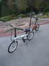 大行（DAHON）P8折叠自行车经典成人20英寸8速折叠车男女式运动单车KBC083 橙色【经典版】 实拍图