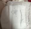 布班迪【透明溯源】倾芯柔婴儿学步裤拉拉裤5XL48片夏季超薄透气尿不湿 实拍图