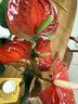叹为观止18种吊兰任你选金边吊兰各种盆栽花卉客厅垂吊桌面植物净化空气 特级红掌【陶瓷盆】 含盆 实拍图