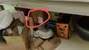 德州扒鸡山东特产熟食零食休闲食品独立包装蜜汁味德州扒鸡大鸡腿65g*14 实拍图