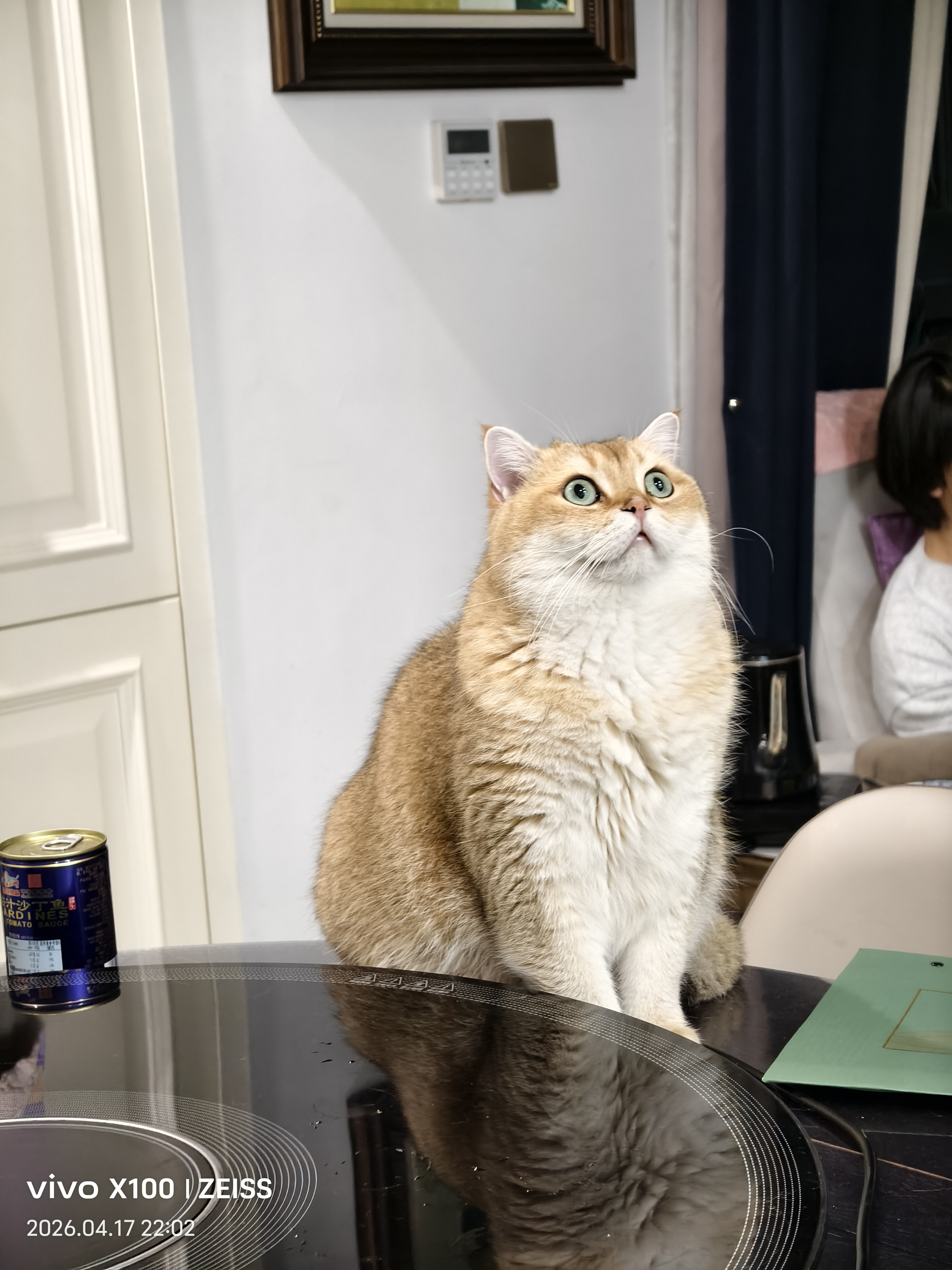 pidan猫砂 超细豆腐膨润土混合猫砂6.18KG*3包 整箱装皮蛋猫砂自营 实拍图