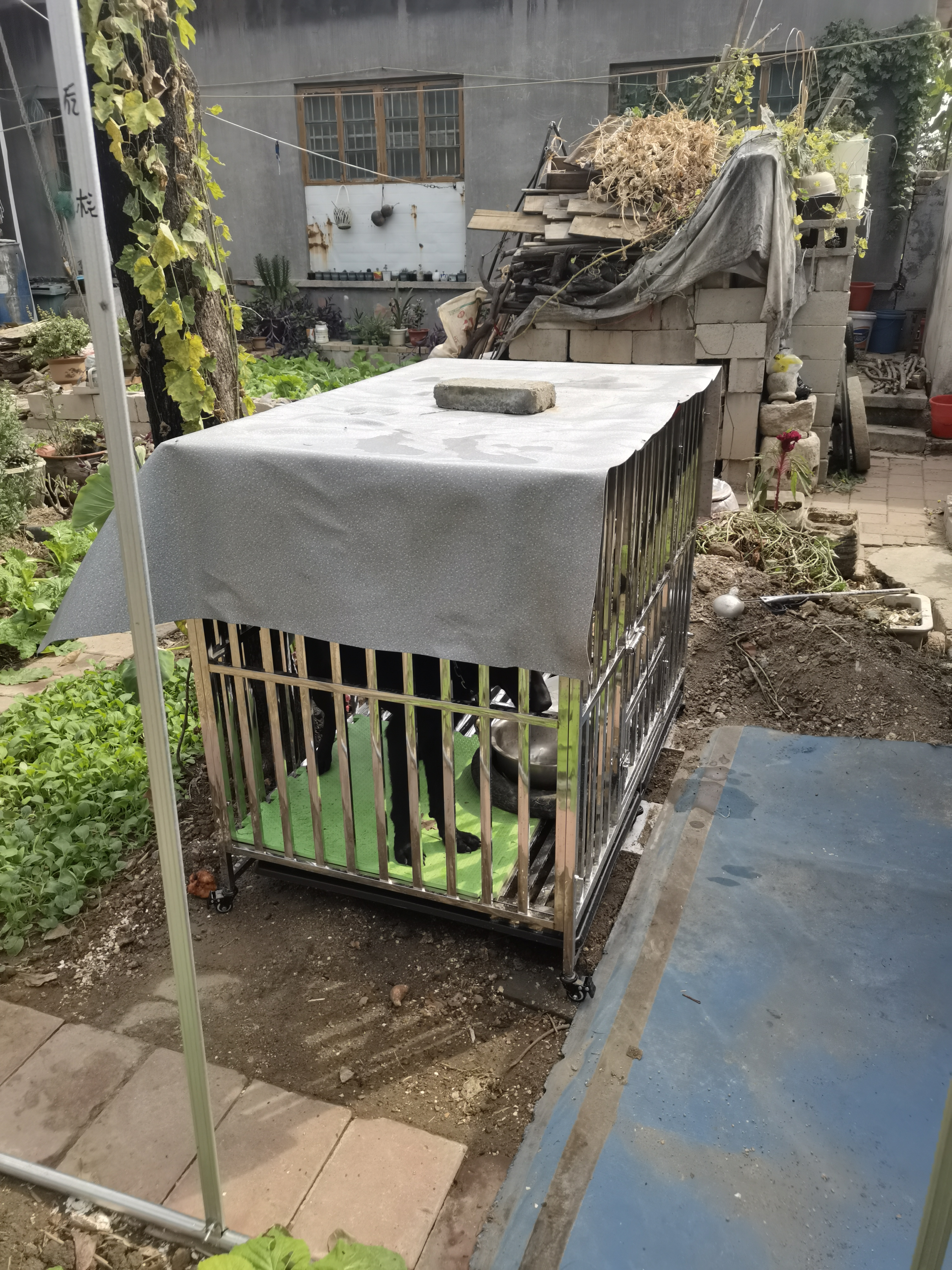 金百特 【不锈钢狗笼子】 金毛狗笼子中大型犬狗笼子宠物狗狗笼子狗屋高档狗别墅 长125*80*105（配6轮激光满焊） 实拍图