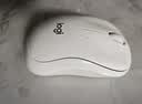 罗技（Logitech）M221 轻音鼠标 无线鼠标 办公鼠标 对称鼠标 带无线微型接收器 米白色 实拍图