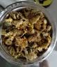 贡苑 桐乡原产杭白菊120g 搭柠檬片金银花特泡水喝的优级花草菊花茶 实拍图
