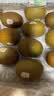 佳沛（zespri）新西兰金奇异果18粒超大原箱175-204g猕猴桃中秋节礼品送水果礼盒 实拍图