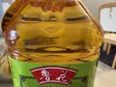 鲁花  食用油 压榨特香非转基因玉米胚芽油5L 实拍图