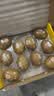 佳沛（zespri）新西兰金奇异果10粒巨大果146-175g猕猴桃中秋节礼品送水果礼盒 实拍图