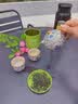 七春2026绿茶信阳毛尖新茶河南特产小罐装冷泡茶品鉴茶叶30g 实拍图
