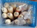 小鹿蓝蓝海洋无污染鳕鱼肠300g 宝宝儿童零食益生元鳕鱼肉肠 出游节日送礼 实拍图