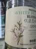 贡苑 白梅花50g干梅花绿萼梅花骨朵绿梅花苞茶搭中药材白梅花玫瑰花茶 实拍图