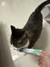 新宠之康宠物猫咪狗狗电解质葡萄糖粉能量恢复体弱虚钾钠液盐脱水中暑应激 实拍图