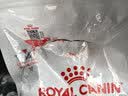 皇家猫粮 成猫猫粮 室内长毛猫 ILH35 通用粮 1-7岁 4.5KG 实拍图