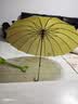 天玮伞业自动晴雨伞长柄伞16骨半自动大号加大加固抗风伞骨女士直杆可定制 实拍图