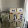 光明 新鲜牧场高品质牛乳950ml早餐 营养 实拍图