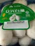 【烧烤季】白蘑菇(口蘑) 230g 实拍图