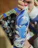 麒麟旗下（海珠）全麦原浆600*12瓶装啤酒 整箱装 实拍图