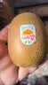 佳沛（zespri）新西兰金奇异果18粒优选果103-124g猕猴桃中秋节礼品送水果礼盒 实拍图