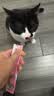 馋小汪猫咪零食猫条妙鲜湿粮包猫零食成猫幼猫营养鱼油猫罐头整箱批发 150支收纳盒装 混合口味 实拍图