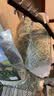 喜帅26年头茬提摩西草 烘干北提提草龙猫兔粮荷兰猪主粮磨牙零食500g 实拍图