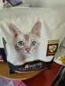 冠能猫粮成猫猫粮鸡肉味2.5kg 雀巢全价猫粮 稳固免疫 实拍图