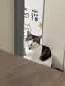 名创优品（MINISO）混合猫砂香味木薯豆腐猫砂强效除臭20斤京东自营送货上门4斤*5包 实拍图
