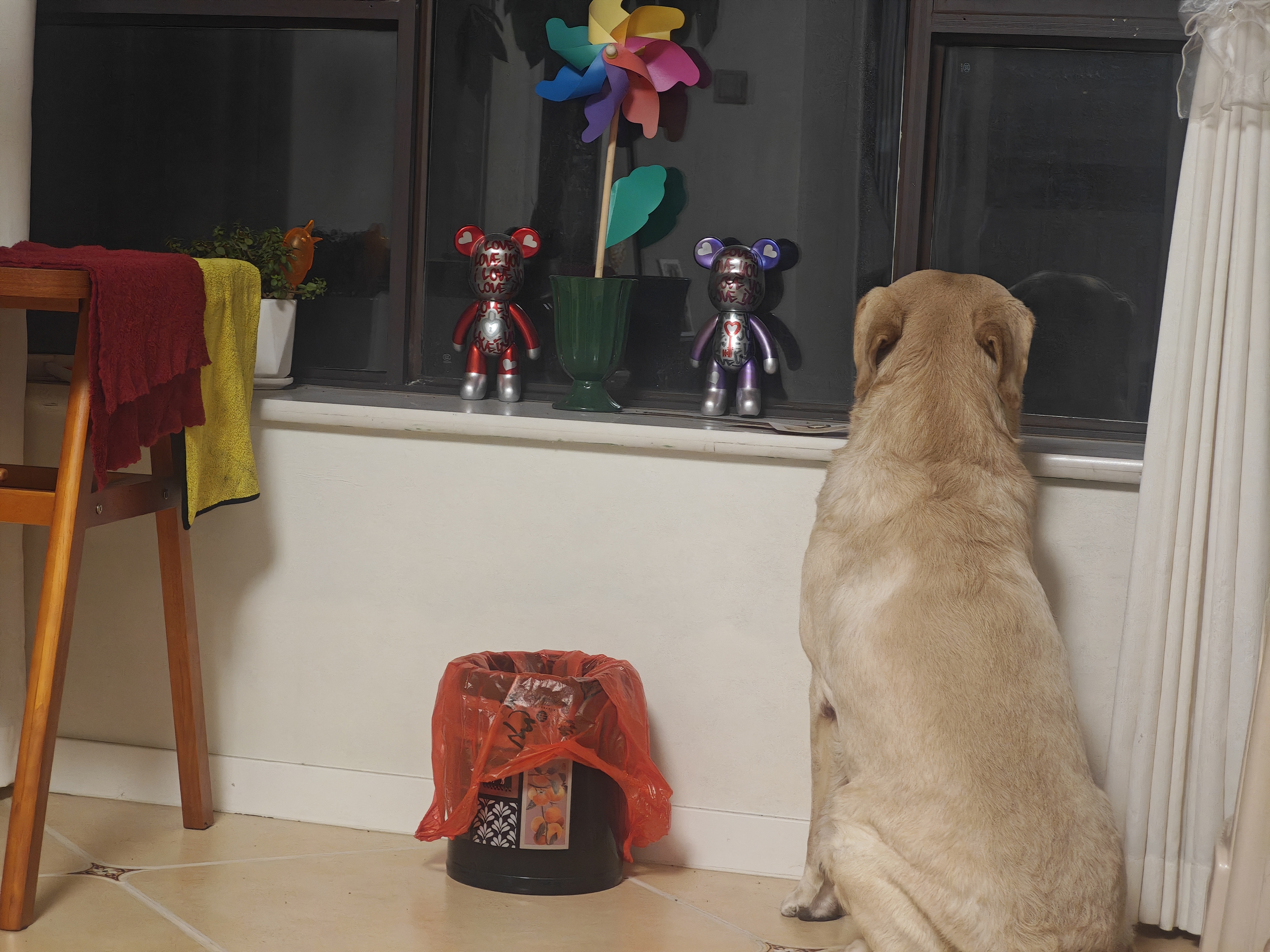 好主人  成犬粮狗粮泰迪金毛拉布拉多比熊萨摩耶柯基全犬种通用2.5kg 实拍图