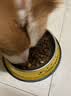 伯纳天纯狗粮中大型犬全价成年犬粮17kg羊肉蔓越莓味囤货装 实拍图