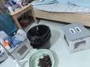 八海鸟加厚塑料迷你折叠凳便携式户外野餐露营椅板凳手提式火车马扎凳子 实拍图