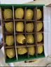 佳沛（zespri）新西兰金奇异果16粒经典果88-103g猕猴桃中秋节礼品送水果礼盒 实拍图
