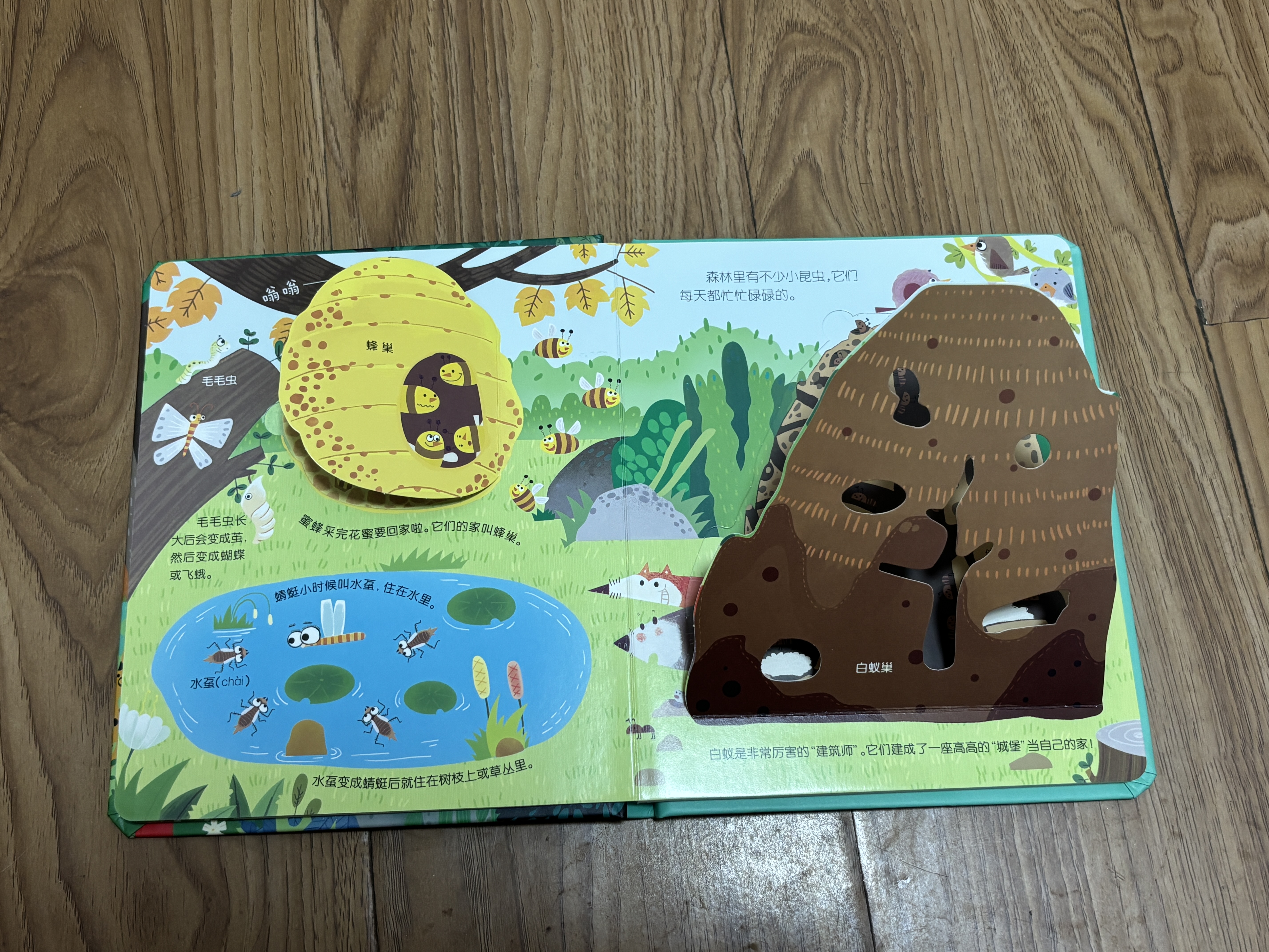 全套12册藏起来的小秘密第一辑第二季翻翻书绘本0-3岁儿童宝宝书3到6岁3D立体情景体验启蒙益智早教书 第1辑：奇幻的森林 实拍图