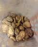 十月稻田 香菇 200g 干香菇 厚蘑菇冬菇 山珍菌菇干货 煲汤火锅炒菜食材 实拍图