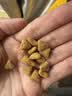 宝路狗粮 老年犬狗粮全价粮全犬种通用 牛肉味1.8kg*4 实拍图