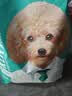 凯锐思幼犬粮 通用中大型小型犬4-12个月泰迪比熊柯基狗粮2kg 实拍图