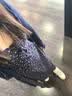 耐克NIKE女空军一号AF1 运动鞋DD8959-100白36 实拍图