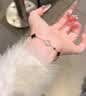 礼意久久【施华洛世奇水晶】四叶草手链女款2026新款女生生日礼物女士闺蜜 【红玛瑙】新婚礼物订婚结婚礼物送新人女生成人礼物 五花四叶草手链轻奢高级走心实用高端结婚纪念日送老婆 晒单实拍图