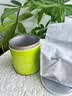 七春2026绿茶信阳毛尖新茶河南特产小罐装冷泡茶品鉴茶叶30g 实拍图