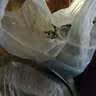 2盒装东北制药  黄连素 盐酸小檗碱片 100片用于肠道感染胃肠炎 实拍图