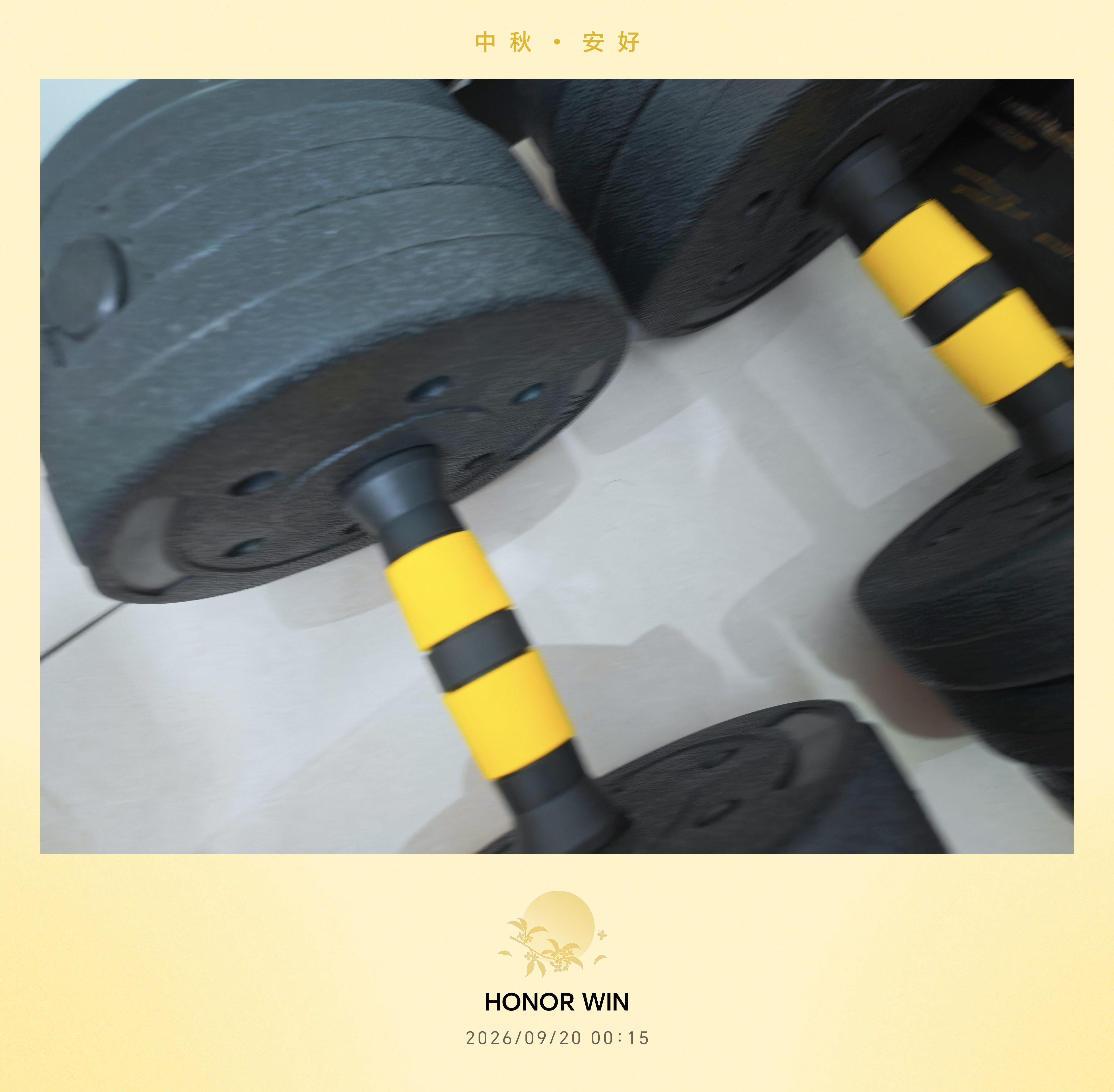 华亚（HUAYA） 哑铃男士杠铃套装可调节环保包胶手铃亚玲家用运动锻炼健身器材 一副两只总重20kg两用款【热销大众选择】 实拍图