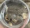 十月稻田 羊肚菌 30g（5-8cm）云南产 菌菇汤包 鸡汤煲汤火锅食材 实拍图