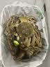 【活蟹】漁家师傅大闸蟹公3.5-3.8两母2.5-2.8两4对8只鲜活螃蟹现货生鲜礼盒中秋送礼 实拍图