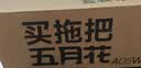 五月花旋转拖把带桶一套2头家用一拖净免手洗2026拖布吸水墩布杆长125cm 实拍图