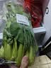 上海青约500g(油菜) 实拍图