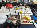 拓竹A1C 3D打印机儿童礼物桌面家用FDM全自动调平多色高速3d打印机器【大陆版】 实拍图