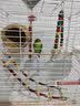 飞主流鸟笼鹦鹉专用鸟笼子大号生态别墅带洗澡站架鸟窝八哥虎皮鸟笼用品 实拍图