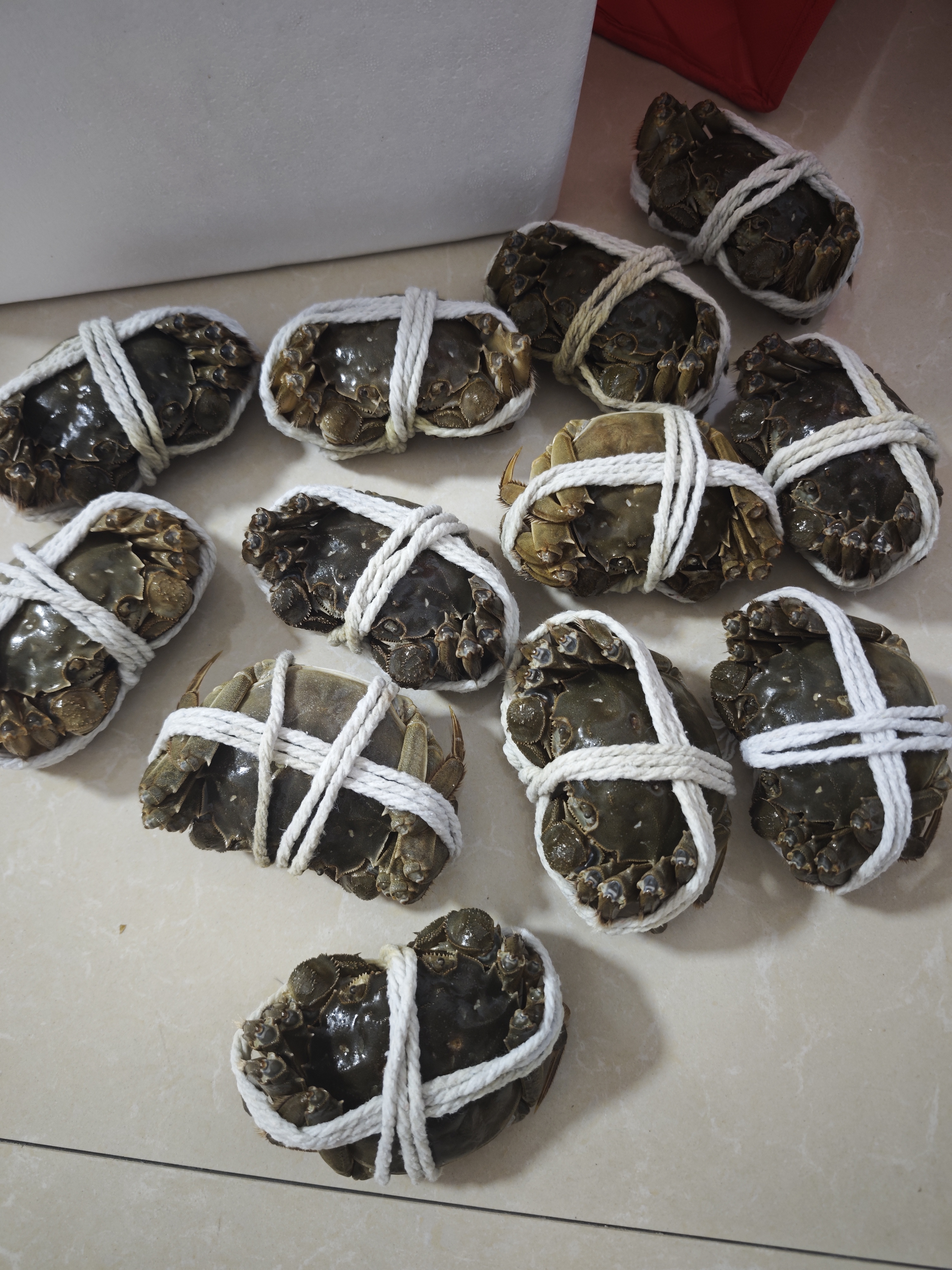 【活蟹】湖鲜阳澄 大闸蟹 去绳足重 全母蟹3.3-3.6两12只 鲜活超大螃蟹海鲜中秋礼盒装 实拍图