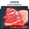 果勋M3上脑原切牛排 净含量2斤 安格斯谷饲牛扒原切澳洲雪花牛肉生鲜 实拍图